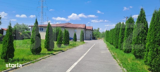 Afacere in Victoria: sala sport cu sauna + discoteca, 690 mp, 2.000 mp