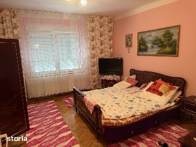 2 Case in aceeasi curte,Zona Titulescu