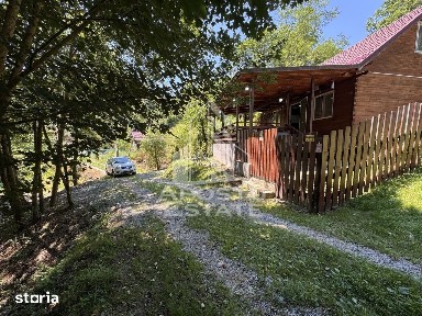 Ribita, Hunedoara