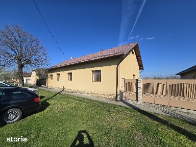 Zadareni, Arad