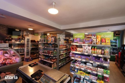 Spatiu comercial + teren, 163 mp utili, 983 mp, Matasaru/Poroinica