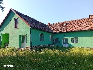Brazii, Arad
