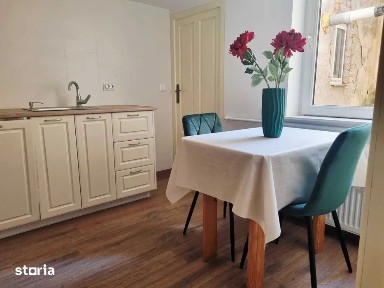 Apartament cu 3 camere Ultracentral cu acces la gradina, Piata Unirii