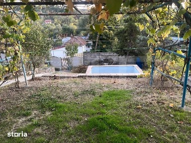 Casa cu piscina P+M, 1.368 mp teren, Leamna de Sus