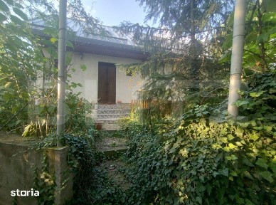 Casa de vacanta, 5 camere 100 mp utili, 3400 mp teren, zona Leamna
