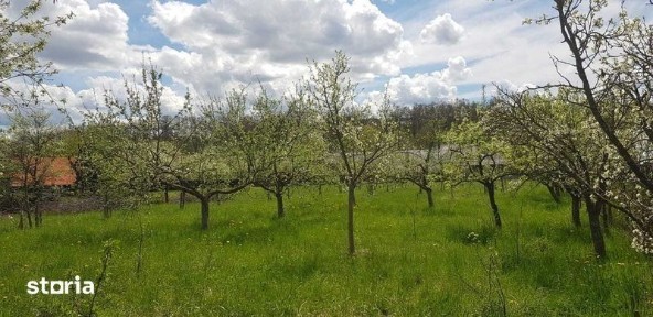 Casa cu teren de vanzare Targu Neamt - Oglinzi