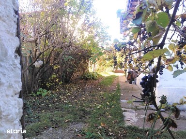 Campina - casa boiereasca - 823 teren - 175000 Euro/Neg.