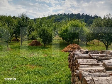 Casa familiala cu curte si gradina, sat Marcus, com. Dobarlau