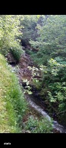 Cabana cu parau si brazi maturi, 1400mp, Valea Fericirii