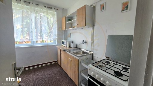 Chirie 2 Camere Satu Mare Central