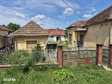 Casa tip Romaneasca, 865 mp Teren Loc. Barzava - La Reducere