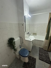 Strada Bucovinei, Bucovina, Timisoara, Timis