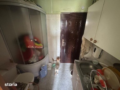 Camera de camin, 10.51 mp, zona Valea Rosie