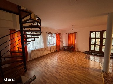 Casă 7 camere + spațiu comercial 55 mp - Orțișoara, 0% comision