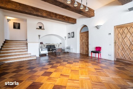 Vila reprezentativa zona Dacia