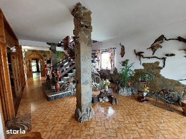 Teis, Sotanga, Dambovita