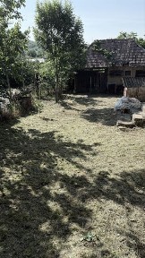 Vanzare Casa cu teren 1450 mp Ortelec