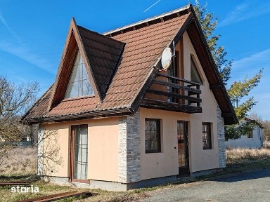 Casa de Vacanta (conac) Locatie Deosebita Oportunitate Afacere