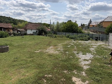 Vand casa cu anexe pentru pasari si caine