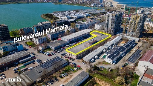 Delfinariu, Constanta