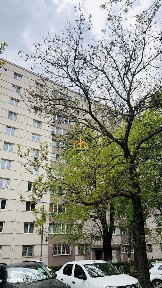 2 camere/mobillat/10 sec metrou Raul Doamnei |Renovat 2023 | Mobilat |