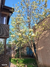 Vila cocheta cu multiple posibilitati de investitie