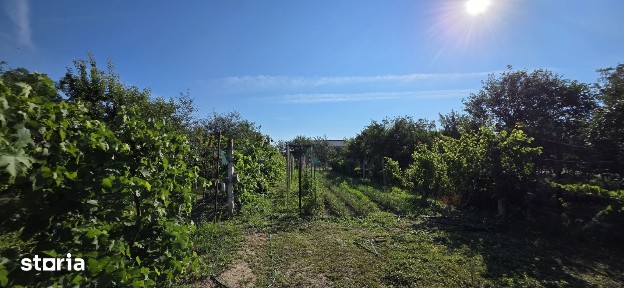 Casa cu Teren generos, 1500 mp. Comuna Sălard | la 23 km de Oradea