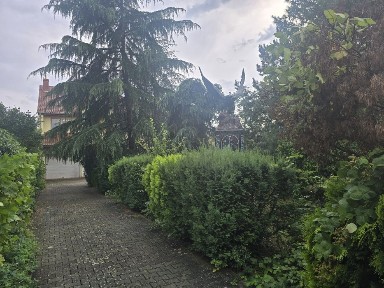 Proprietar vând vilă p+1 zonă centrală Timișoara (mobilată sau nu)