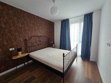Timis, Timisoara