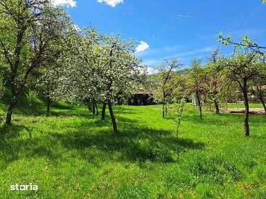 Casă cu teren spațios, zona turistica