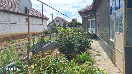 Horia, Vladimirescu, Arad