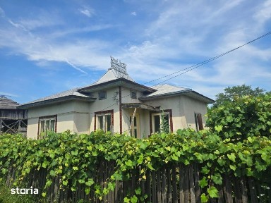 Proprietate in comuna Vedea, teren = 4200 mp