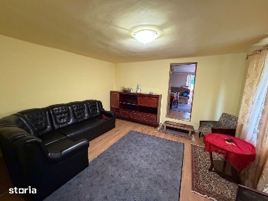 Casa de vanzare 255mp utili, 1974mp teren - Balomir