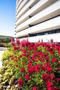 Ansamblul Wings |Direct de la Dezvoltator | Apartament 3 camere
