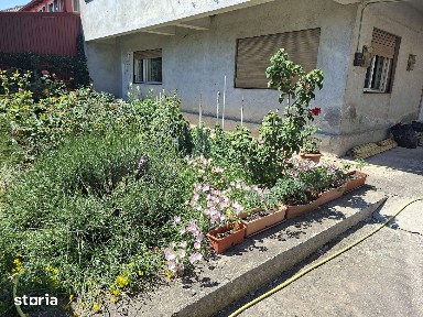 Apartament 4 camere parter de vilă cu curte, Costinești Principală
