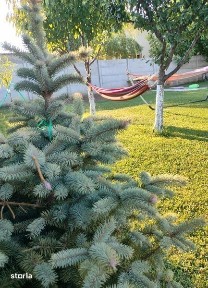 Inchiriez Curte cu Gradina spatioasa, pentru petreceri.