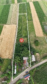 SE VINDE Gospodarie taraneasca, Valea Glodului (Vulturesti), jud. SV