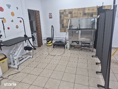 De Vanzare Frizerie Canina si Felina Business la Cheie!