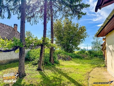 OFERTA TRANZACTIONATA!Proprietate cu farmec rustic, spații auxili