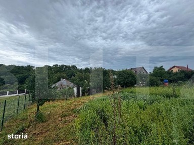Teren si casa batraneasca, 3100 mp, Zaicesti