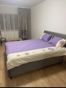 Timis, Timisoara
