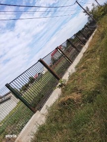 Casa Colceag, curte 3500 mp