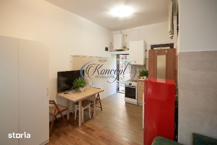 Studio ultracentral cu potential investitional