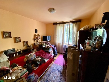 Cetate, Timisoara, Timis