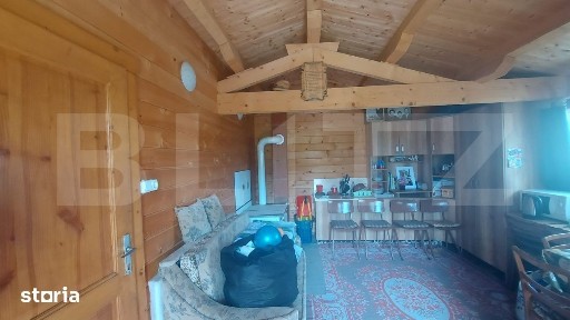 Cabana cu teren de 18 ari, zona Viile Satu Mare