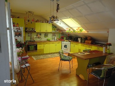 Casa cu venit din chirie, in buricul targului - locuinta + spatiu co