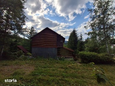 Vand casa de vacanta P+1 Valiug - Crivaia