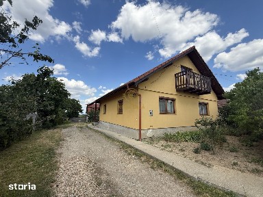 Viile Satu Mare, Satu Mare
