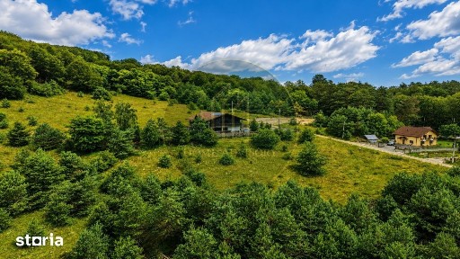 Refugiu în inima naturii | Proprietate premium în Pădurea Bogății