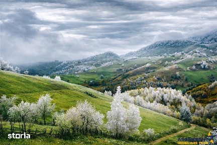 Resedinta pensiune, in areal privilegiat, cu 1.000 mp teren, Pestera
